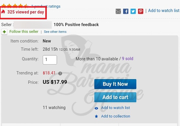 panduan buat duit dengan ebay 2017